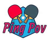 Logo di PingPov